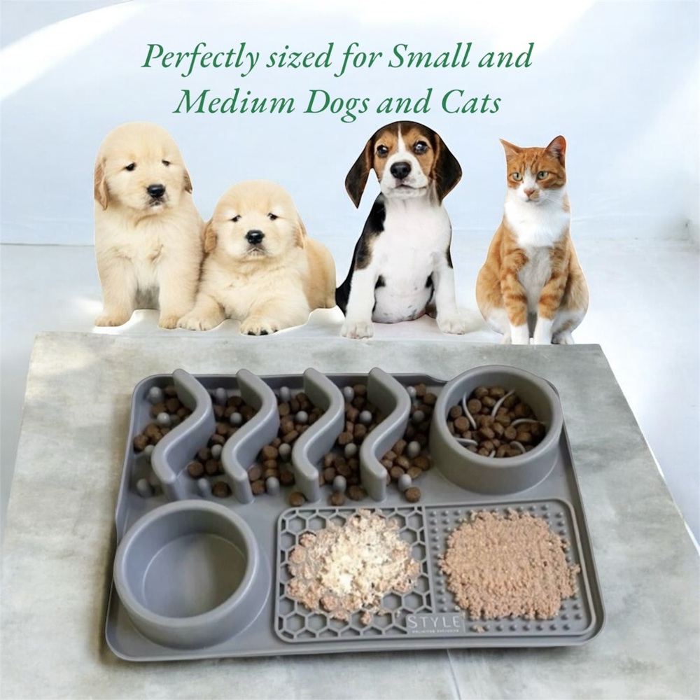 Slow Feeder Bowl Water Bowl Licking Mat for Dogs &Cats Anxiety Relief